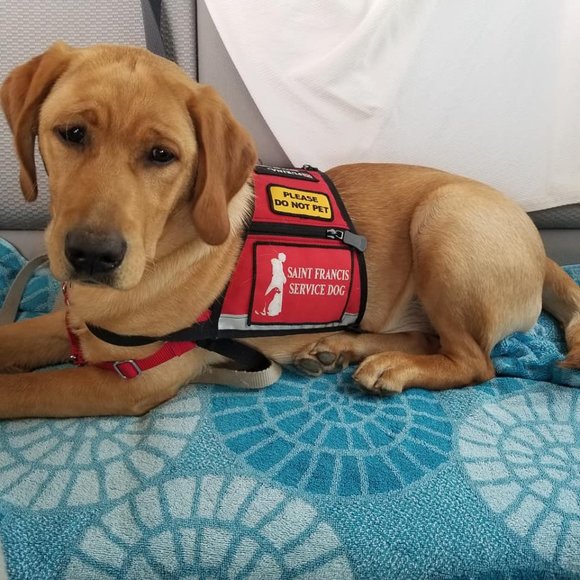 Meet your Posher, Janine - Picture 4 of 5